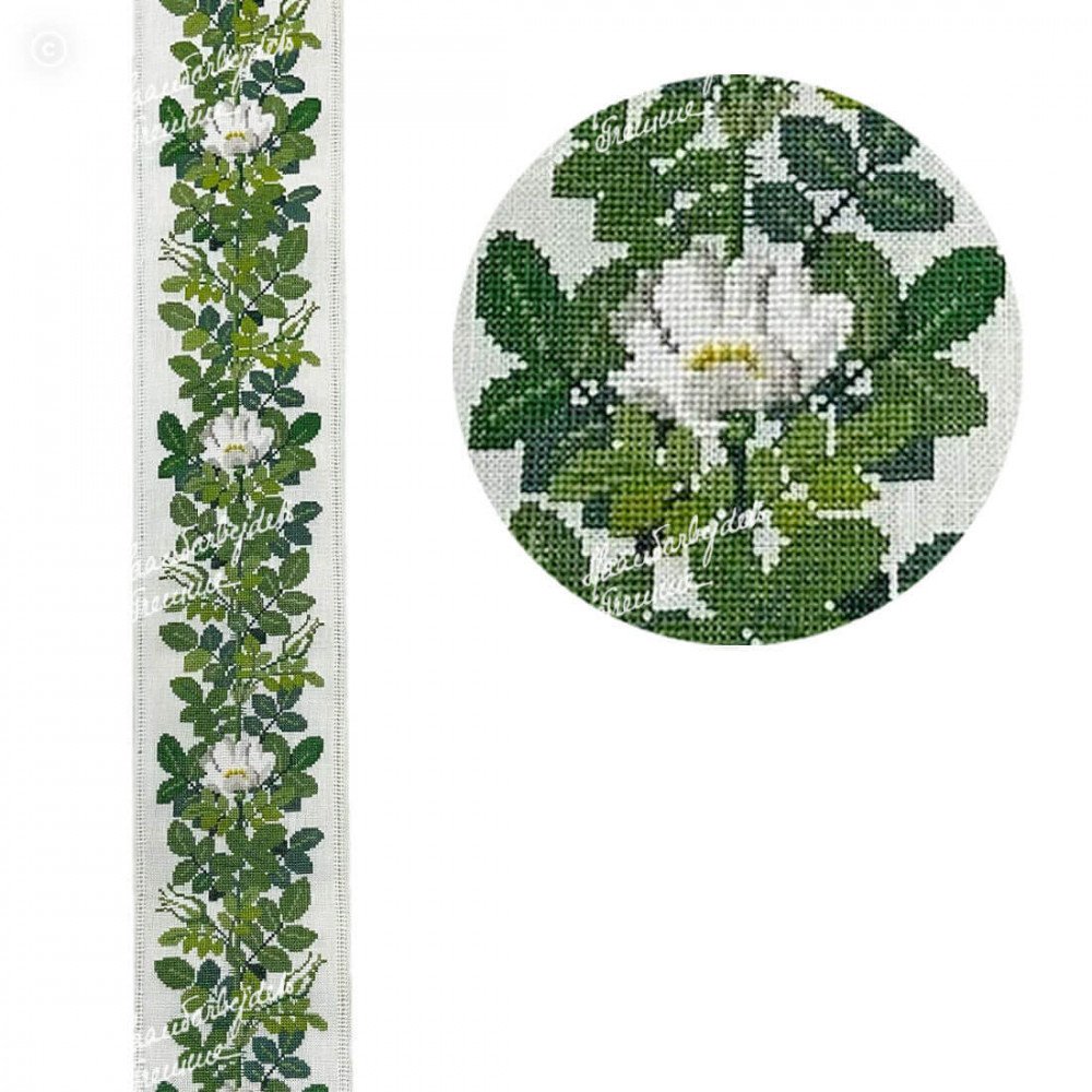 White Rose