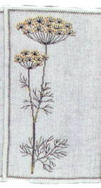 Dill