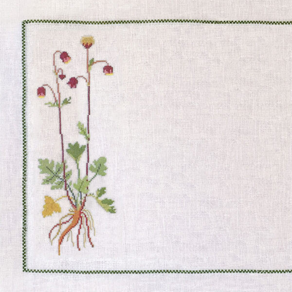 Water Avens
