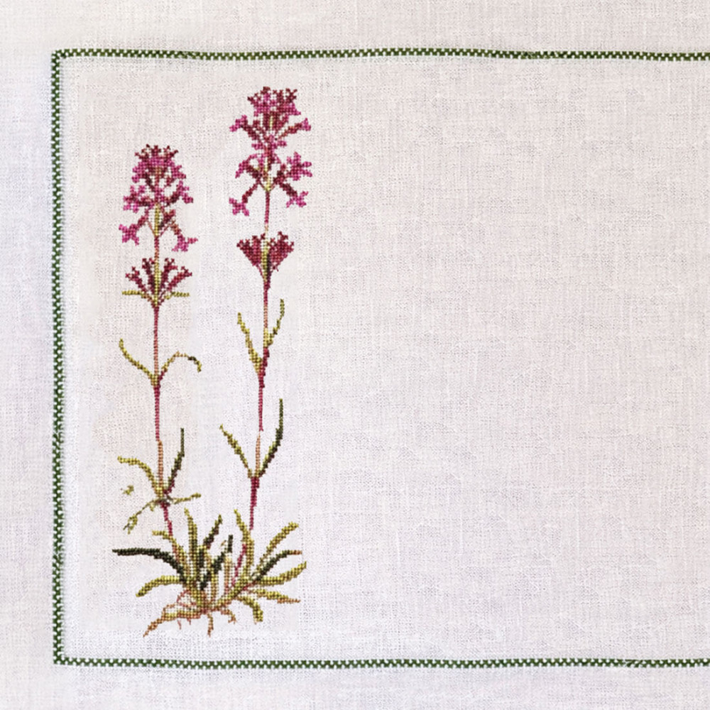 Sticky Catchfly