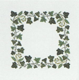 Ivy