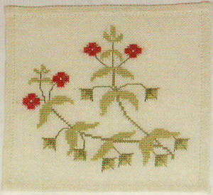Red Pimpernel