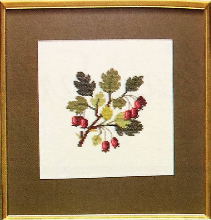 Hawthorn