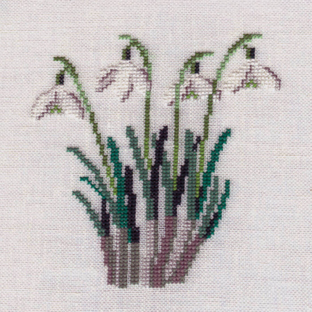 Snowdrop