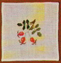 Rose Hip