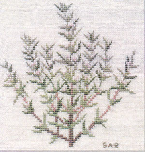 Sar