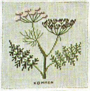 Caraway