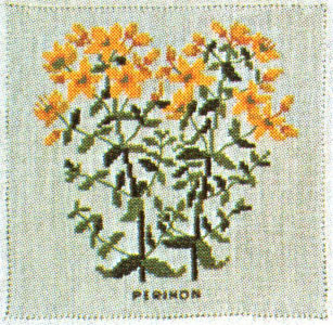 St John's Wort