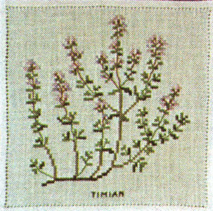 Thyme