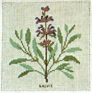 Sage