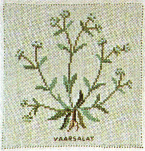 Spring Lettuce