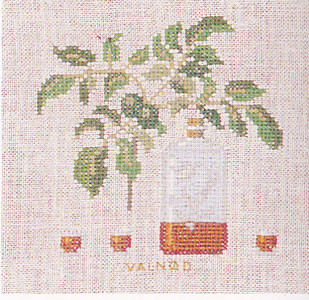 Walnut