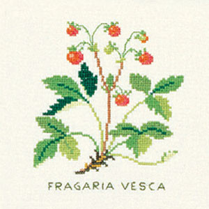 Wild Strawberries