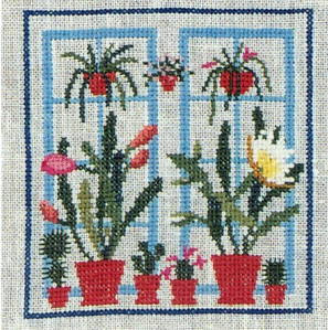 Cactus