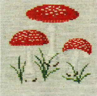 Fly Agaric