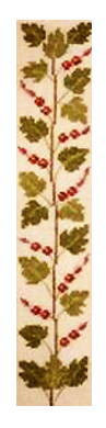Redcurrant