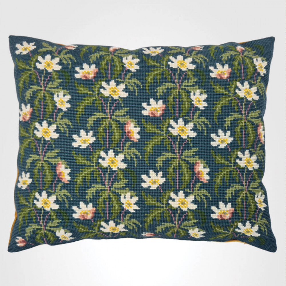 Forrest Anemone