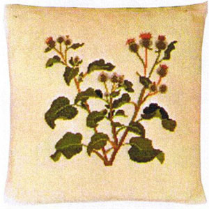 Burdock