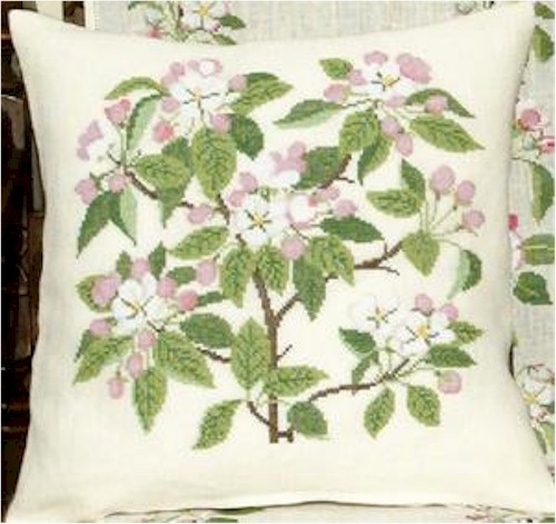 Apple Blossom