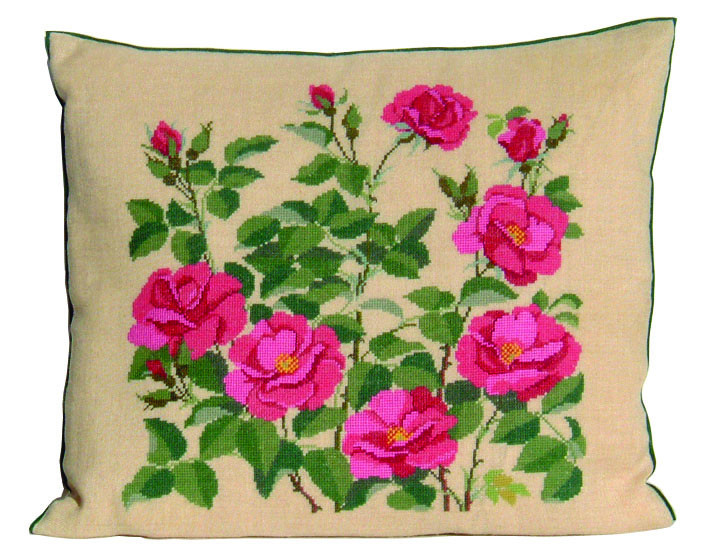 Rosa Rosiga