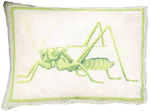Grasshopper