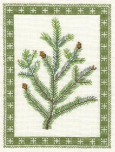 Spruce