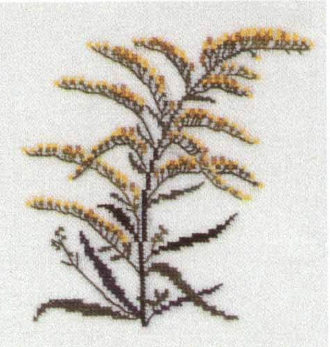 Goldenrod, Nebraska