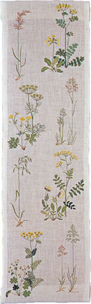 Grass and Wild Plants