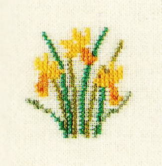 Daffodils