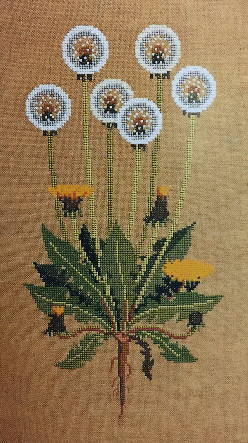 Dandelion