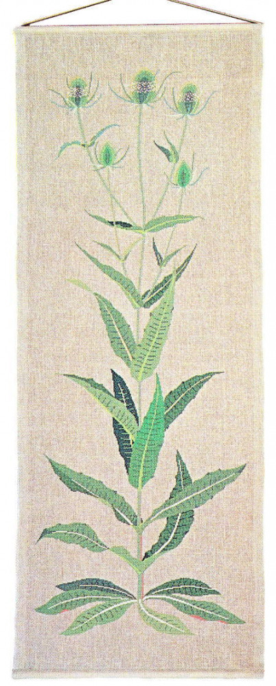 Thistle