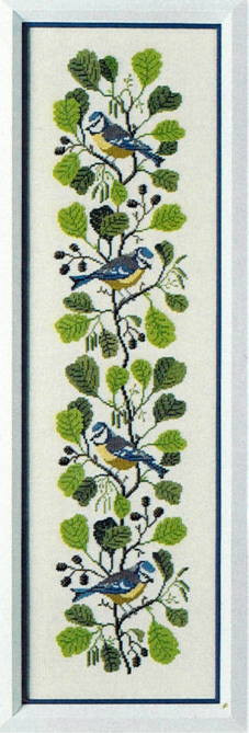 Blue Tit and Alder Branch