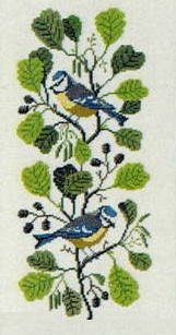 Blue tit and Alder Branch