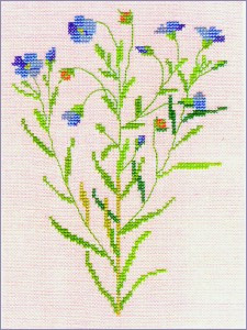 Flax