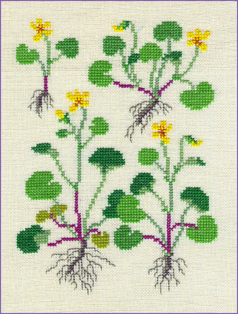 Violet