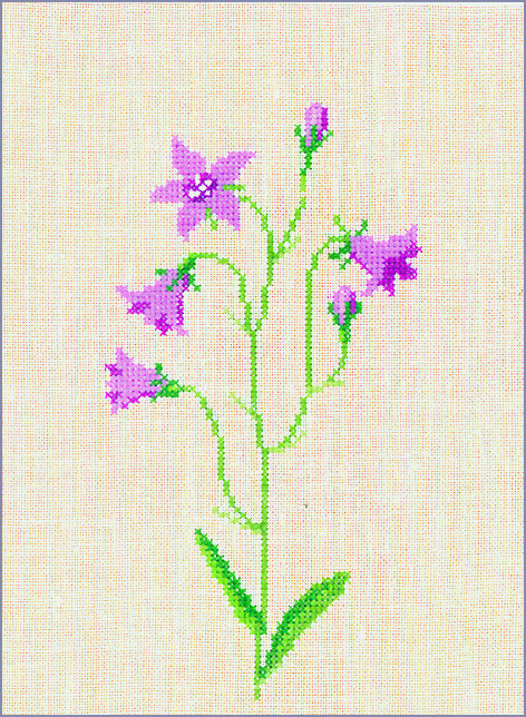 Bell flower