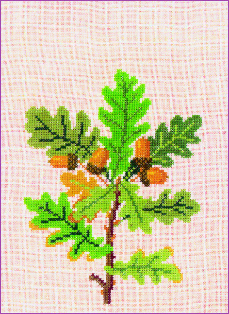 Oak