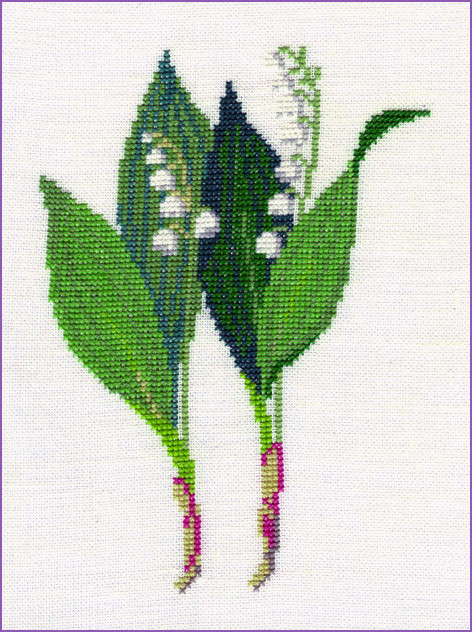 Lily of the Valley