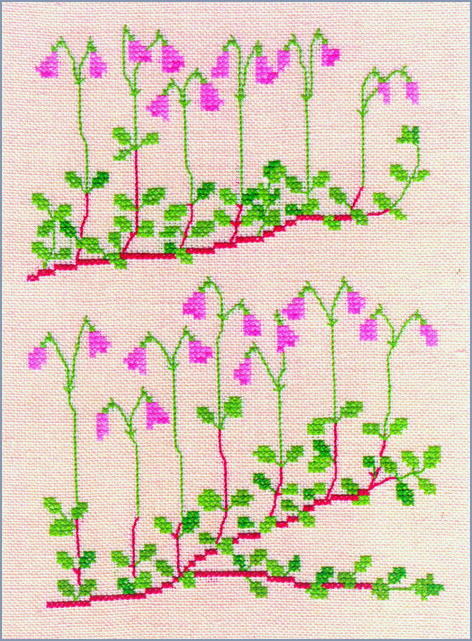 Twin flower