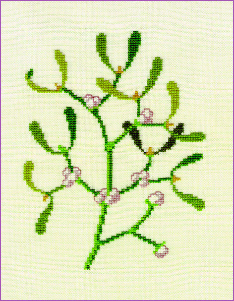 Mistletoe