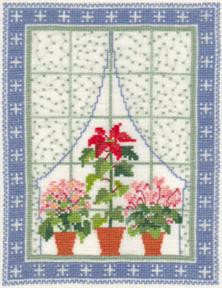 Window