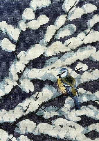 Blue Tit in Snow