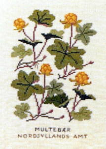 Cloudberry