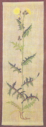 Thistle