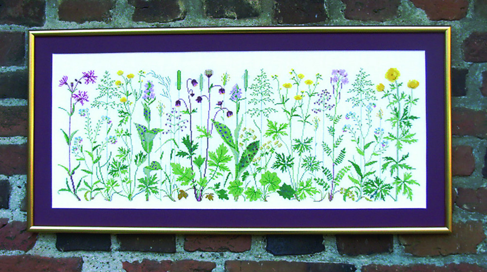 Flowers of the Meadow