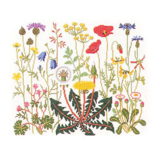 Flowers of the Summer