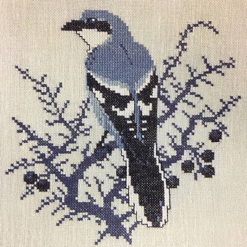 Shrike