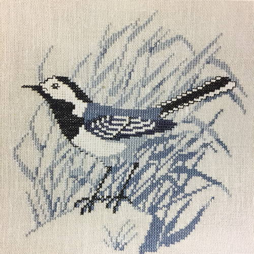 Wagtail