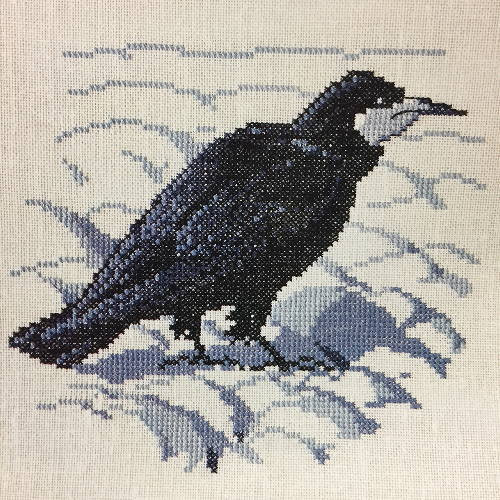 Rook