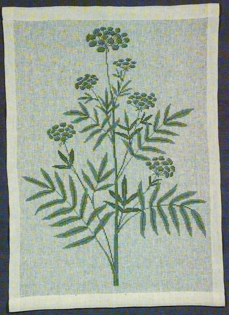 Greater Water Parsnip